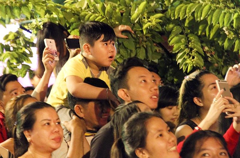 “Bố ơi! Mình đi xem pháo hoa nhé!“ ảnh 17